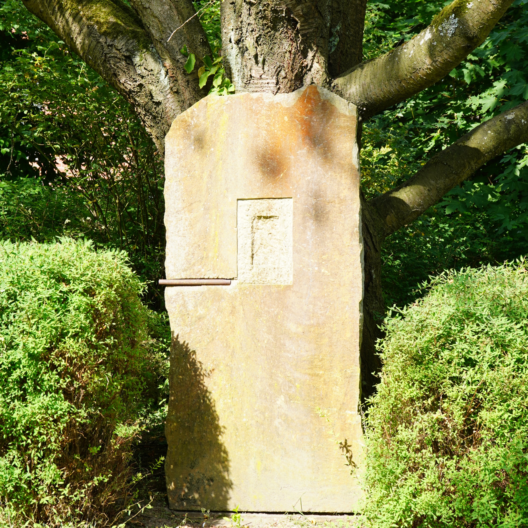Rechteckige Steinplatte mit Einarbeitungen vor einem Baum, flankiert von zwei Büschen