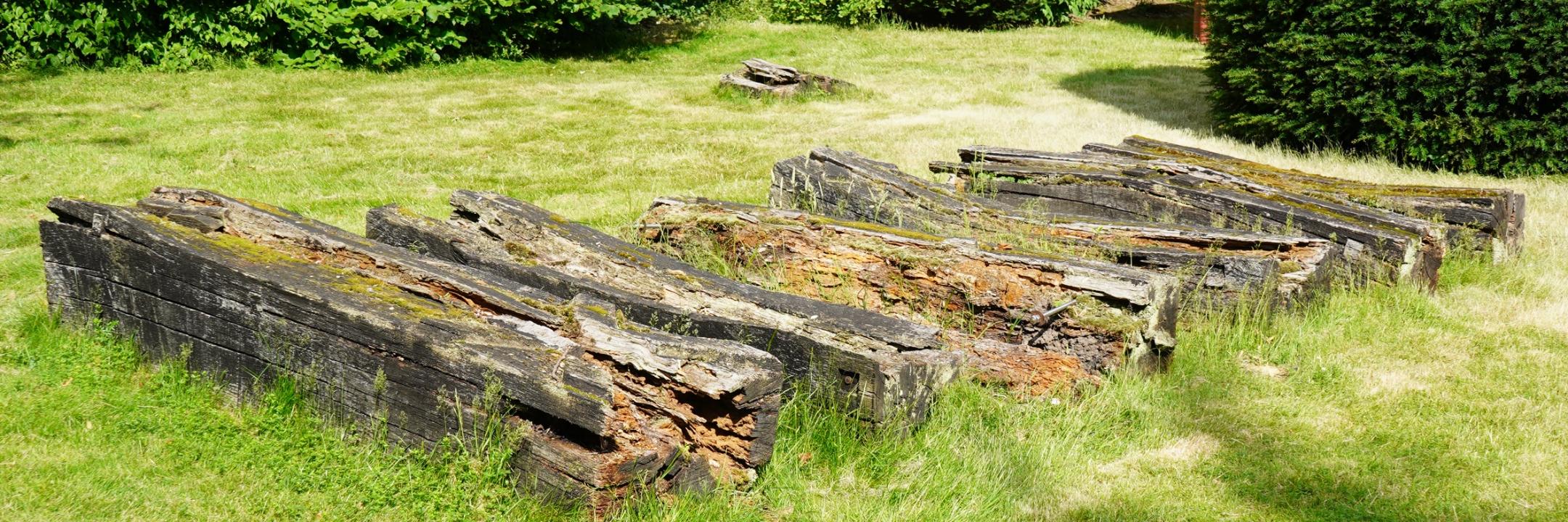 Sieben längliche, zerfallende Holzskulpturen nebeneinander auf einer Rasenfläche