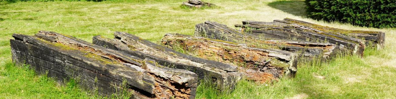 Sieben längliche, zerfallende Holzskulpturen nebeneinander auf einer Rasenfläche