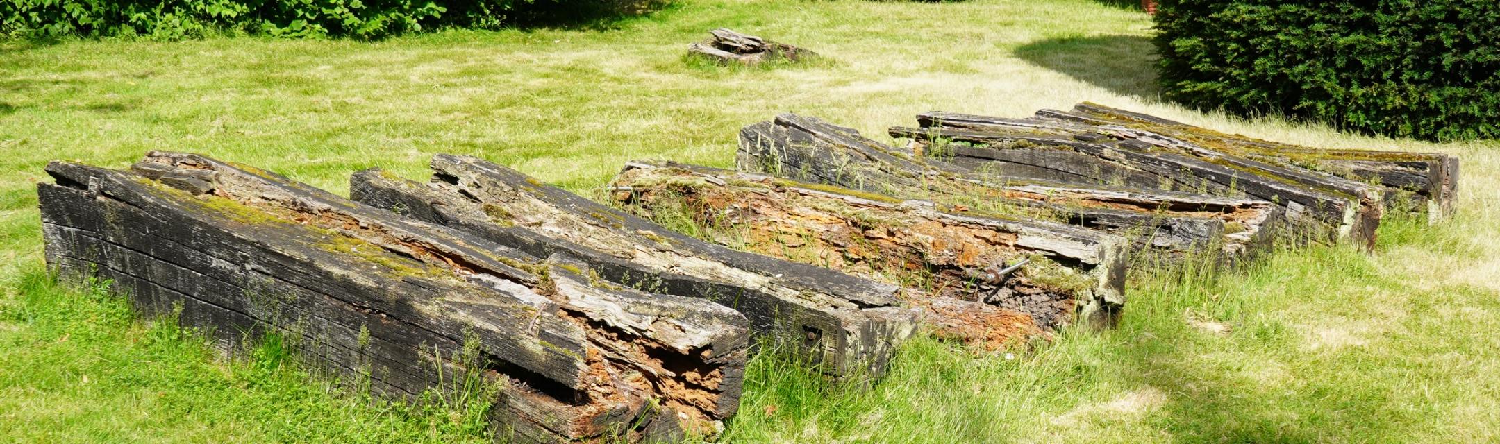 Sieben längliche, zerfallende Holzskulpturen nebeneinander auf einer Rasenfläche