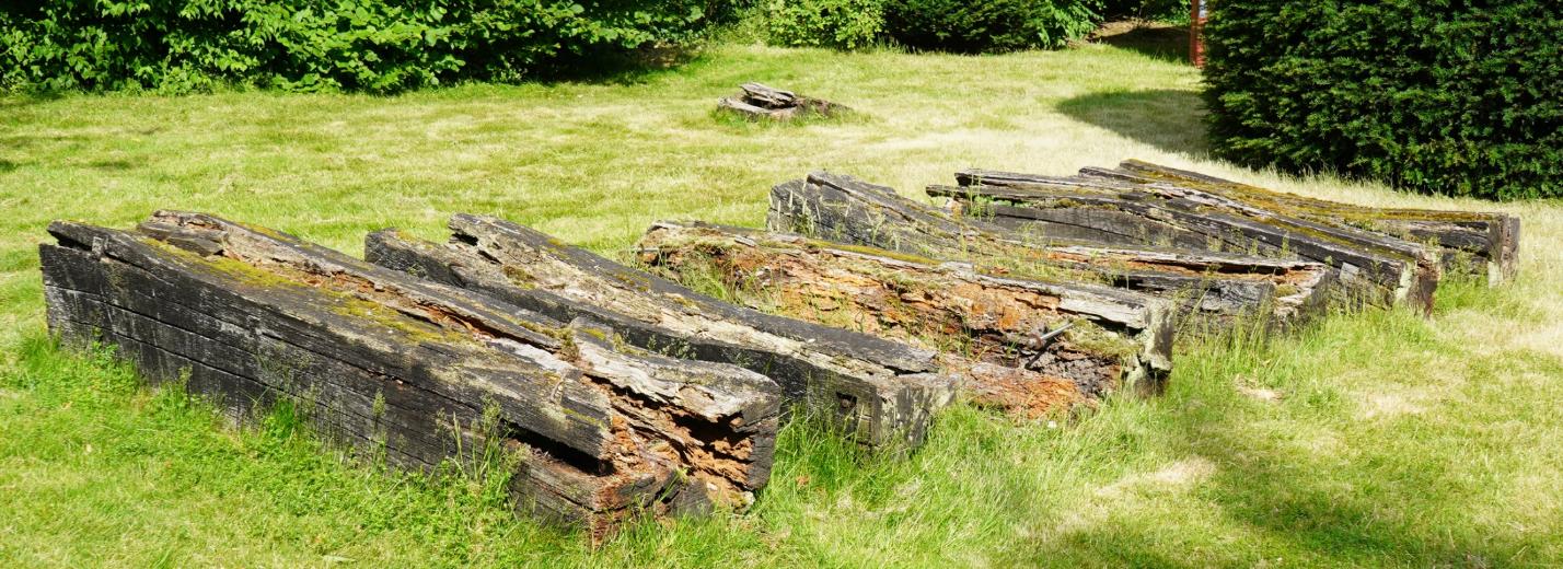 Sieben längliche, zerfallende Holzskulpturen nebeneinander auf einer Rasenfläche