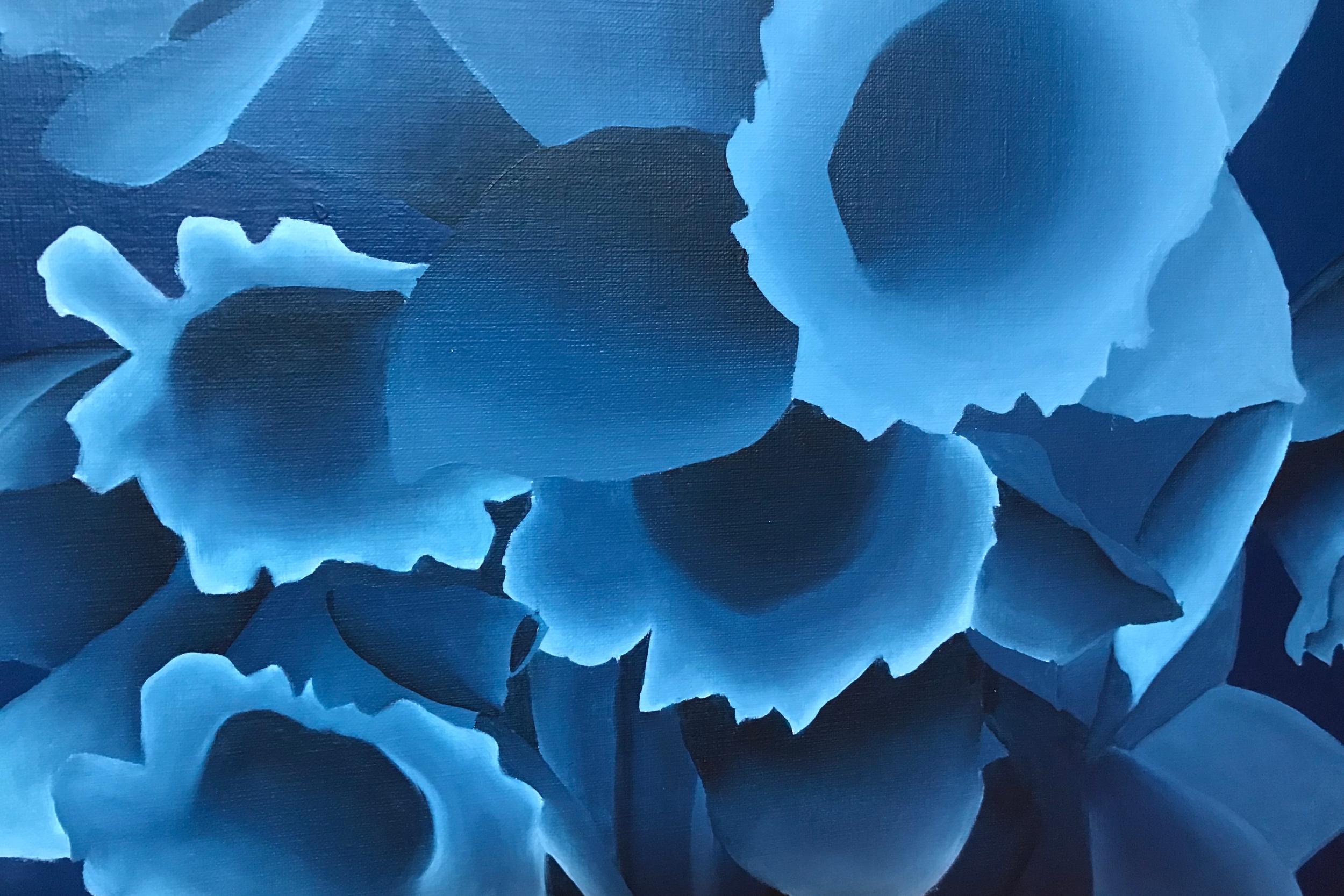 Vazquez_flowers: gemalte dunkelblaue Blumenmotive