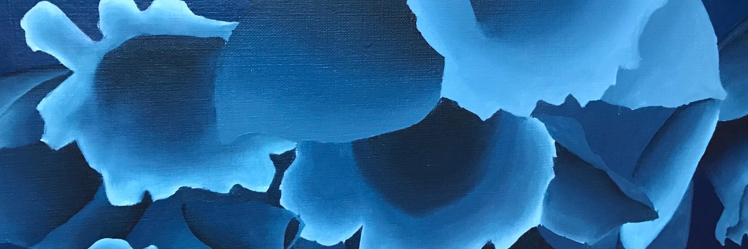 Vazquez_flowers: gemalte dunkelblaue Blumenmotive